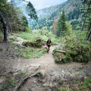 Photo de trail : Maxi-Race, un coureur dans la forêt à la sortie du col des Contrebandiers (c) Mickael Mussard Photographe Photo de trail : Maxi-Race, un coureur dans la forêt à la sortie du col des Contrebandiers (c) Mickael Mussard Photographe