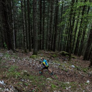 Photo de trail : Maxi-Race, une coureuse en forêt au lever du jour (c) Mickael Mussard Photographe Photo de trail : Maxi-Race, une coureuse en forêt au lever du jour (c) Mickael Mussard Photographe