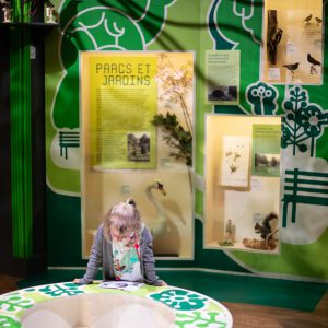 Photo journalisme : une petit fille admire les insectes de l’exposition Nature en ville au musée Lecoq (c) Mickael Mussard Photographe Photo journalisme : une petit fille admire les insectes de l'exposition Nature en ville au musée Lecoq (c) Mickael Mussard Photographe