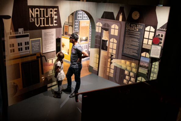 Photo journalisme : visiteurs lors de l'exposition Nature en ville au Musée Lecoq (c) Mickael Mussard Photographe