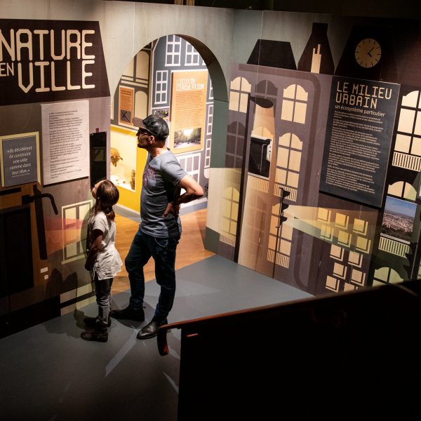 Photo journalisme : visiteurs lors de l’exposition Nature en ville au Musée Lecoq (c) Mickael Mussard Photographe Photo journalisme : visiteurs lors de l'exposition Nature en ville au Musée Lecoq (c) Mickael Mussard Photographe