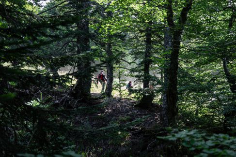 Photo de randonnée : passage en forêt à Super-Besse (c) Mickael Mussard Photographe